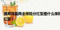 國壽鴻盈兩全保險分紅型是什么保險(國壽鴻盈兩全保險分紅型)