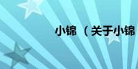 小錦 (關于小錦 簡介)
