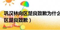 鞏漢林向區楚良致歉為什么引爭議(鞏漢林向區楚良致歉)