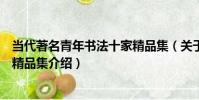 當代著名青年書法十家精品集(關于當代著名青年書法十家精品集介紹)