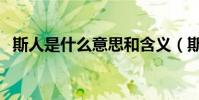 斯人是什么意思和含義(斯人是什么意思)