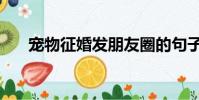 寵物征婚發朋友圈的句子(寵物征婚)