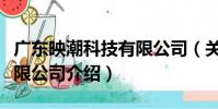 廣東映潮科技有限公司(關于廣東映潮科技有限公司介紹)