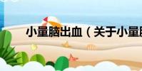 小量腦出血(關于小量腦出血簡介)