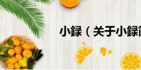 小録(關于小録簡介)
