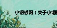 小鋼板網(關于小鋼板網簡介)