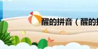 醒的拼音(醒的拼音)