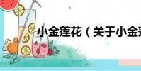 小金蓮花(關于小金蓮花簡介)