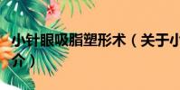 小針眼吸脂塑形術(關于小針眼吸脂塑形術簡介)