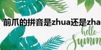 前爪的拼音是zhua還是zhao(前爪的拼音)