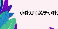 小針刀(關于小針刀簡介)