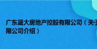 廣東晟大房地產控股有限公司(關于廣東晟大房地產控股有限公司介紹)