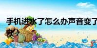 手機進水了怎么辦聲音變了(手機進水了怎么辦)
