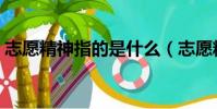 志愿精神指的是什么(志愿精神指的是什么)
