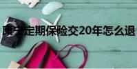康寧定期保險交20年怎么退(康寧定期保險)