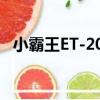 小霸王ET-200（關于小霸王ET-200簡介）