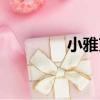 小雅克（關于小雅克簡介）