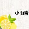 小雨青青（關于小雨青青簡介）