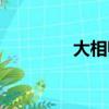 大相師陳平（大相師陳平）