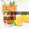 廣東智臻科技股份有限公司（關于廣東智臻科技股份有限公司介紹）