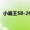 小霸王SB-26C（關于小霸王SB-26C簡介）