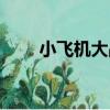 小飛機大戰（關于小飛機大戰簡介）