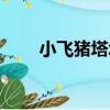 小飛豬塔塔（關于小飛豬塔塔簡介）