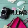 偏偏愛上你劇情片段全集（偏偏愛上你劇情）