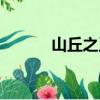 山丘之王（關于山丘之王簡介）