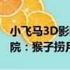 小飛馬3D影院：猴子撈月（關于小飛馬3D影院：猴子撈月簡介）