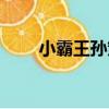 小霸王孫策（關于小霸王孫策簡介）