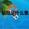 貼貼是什么意思網絡語言（貼貼是什么意思）