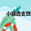 小額透支貸款（關于小額透支貸款簡介）