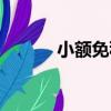 小額免稅（關于小額免稅簡介）