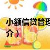 小額信貸管理系統（關于小額信貸管理系統簡介）