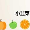 小韭菜溝（關于小韭菜溝簡介）