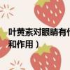 葉黃素對眼睛有什么好處和壞處（葉黃素對眼睛有什么好處和作用）