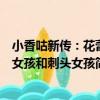 小香咕新傳：花蕾女孩和刺頭女孩（關于小香咕新傳：花蕾女孩和刺頭女孩簡介）