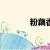 粉藕香梨粥做法圖解（foxi）