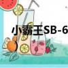 小霸王SB-608B（關于小霸王SB-608B簡介）