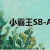 小霸王SB-A7（關于小霸王SB-A7簡介）
