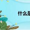 什么是胸貼啊（什么是胸貼）