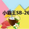 小霸王SB-26D（關于小霸王SB-26D簡介）