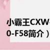 小霸王CXW-200-F58（關于小霸王CXW-200-F58簡介）