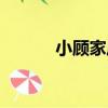 小顧家莊（關于小顧家莊簡介）