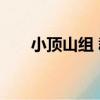小頂山組 群（關于小頂山組 群簡介）