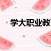 學大職業教育（關于學大職業教育介紹）