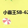 小霸王SB-625（關于小霸王SB-625簡介）