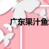 廣東果汁魚塊（關于廣東果汁魚塊介紹）