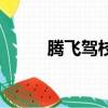 騰飛駕校學費價格表（騰飛駕校）